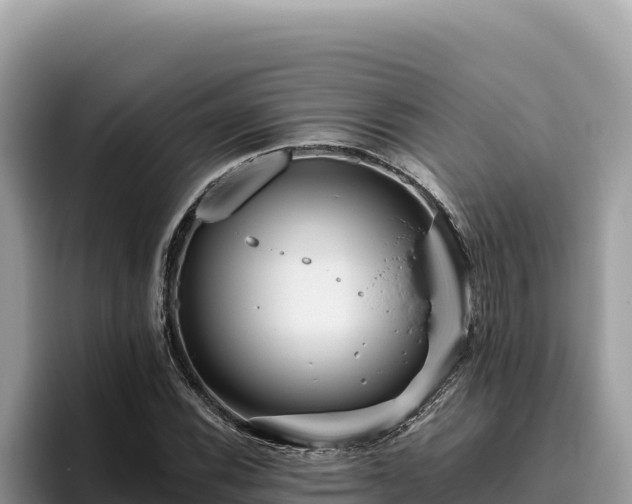 X0000095901116200801181240