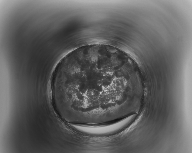 X0000095901117200801181240