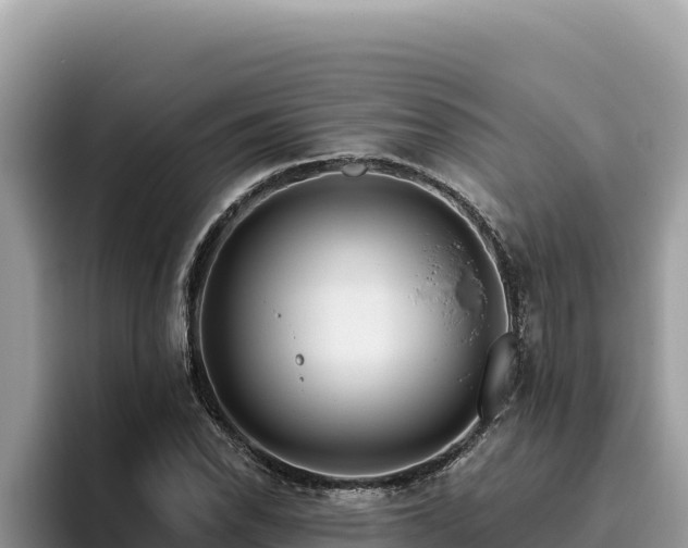 X0000095901118200801181240