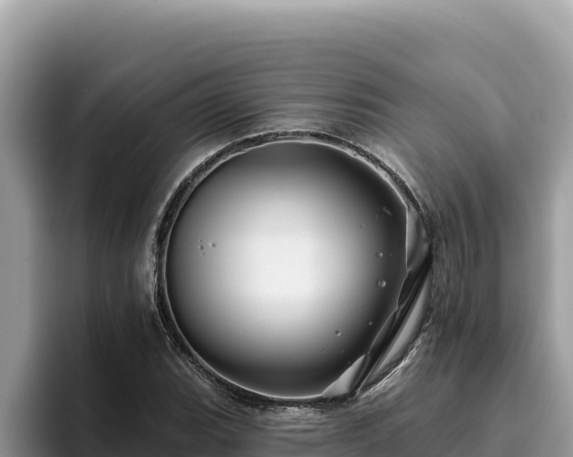 X0000095901119200801181240