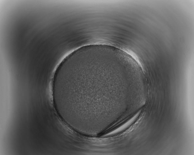 X0000095901120200801181240