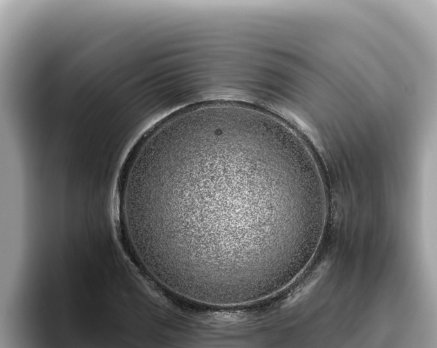 X0000095901125200801181240