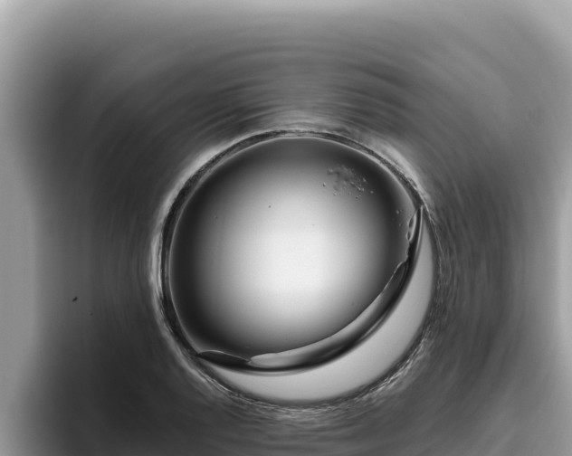 X0000095901128200801181240