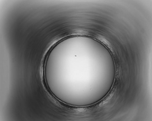 X0000095901130200801181240