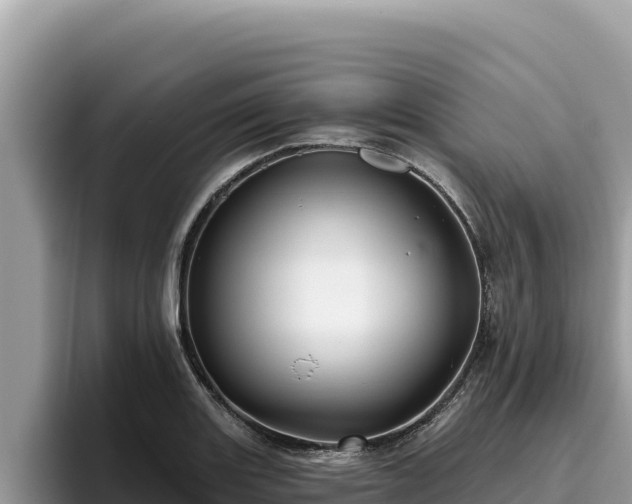 X0000095901131200801181240