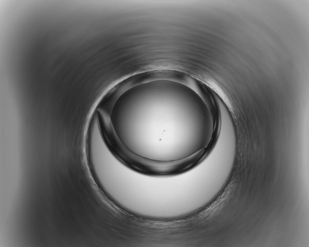 X0000095901132200801181240