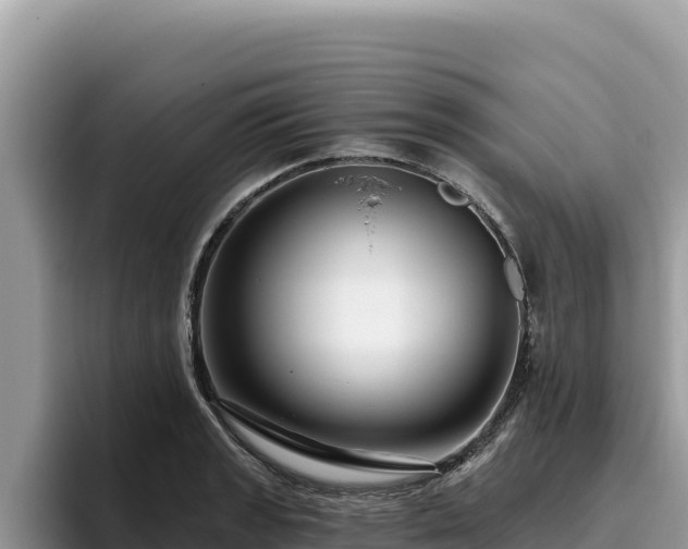 X0000095901133200801181240