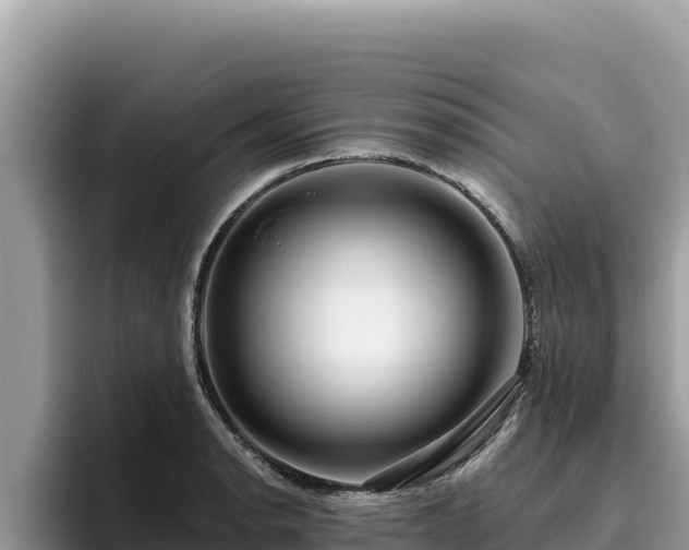 X0000095901134200801181240