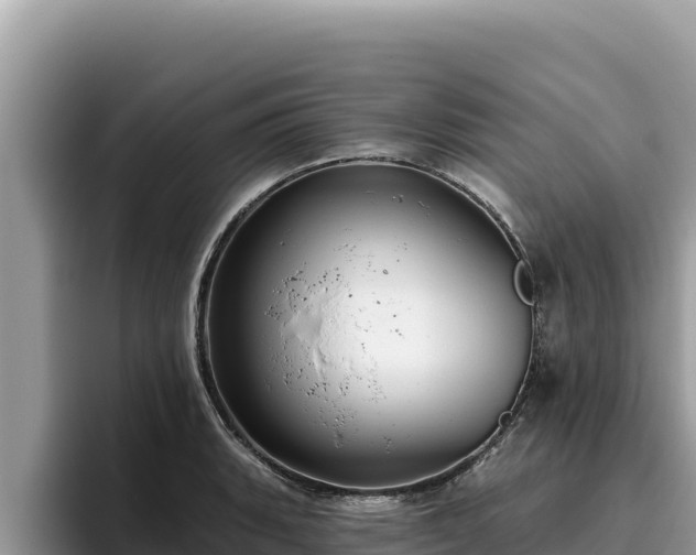 X0000095901135200801181240