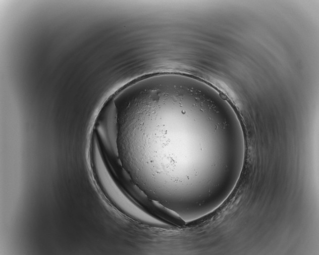 X0000095901136200801181240