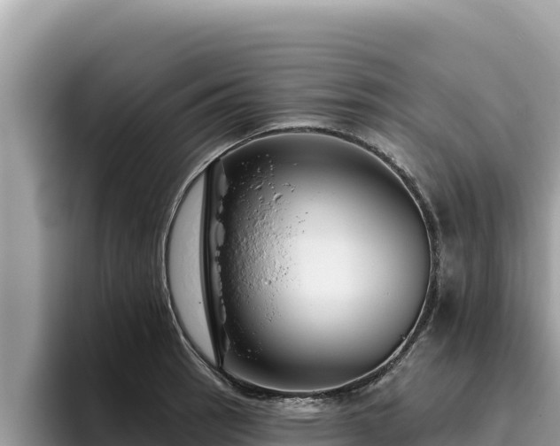 X0000095901137200801181240