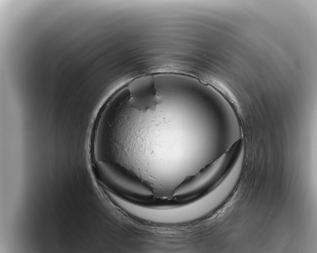 X0000095901138200801181240