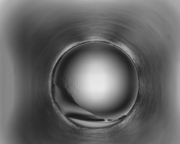 X0000095901142200801181240