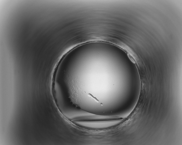 X0000095901143200801181240