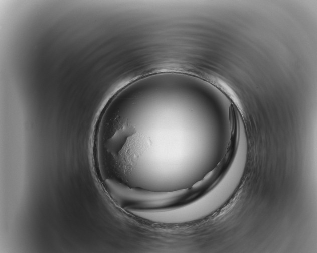 X0000095901146200801181241