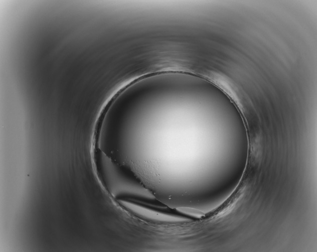 X0000095901149200801181241