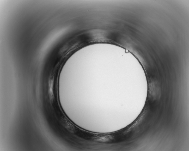 X0000095901150200801181241