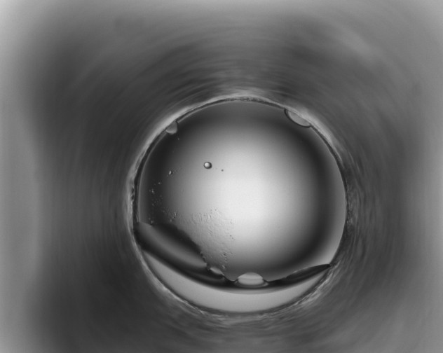 X0000095901151200801181241