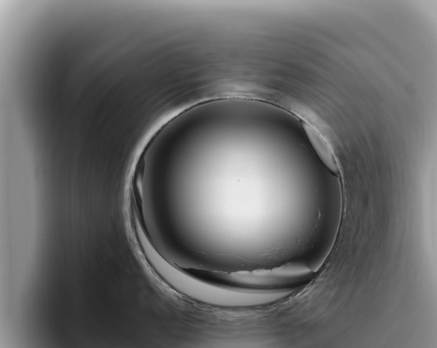 X0000095901152200801181241