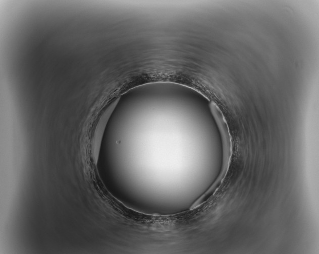 X0000095901153200801181240