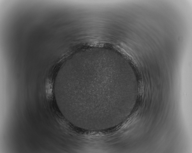 X0000095901154200801181240