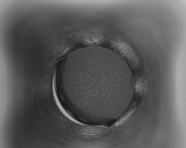 X0000095901156200801181240