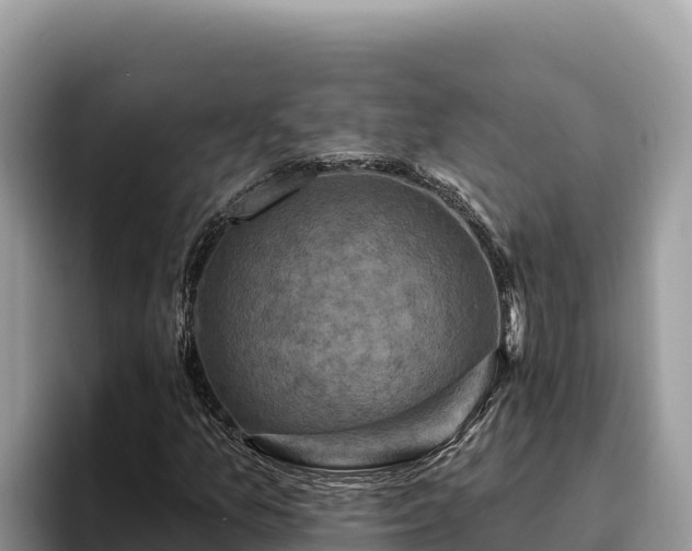 X0000095901157200801181240