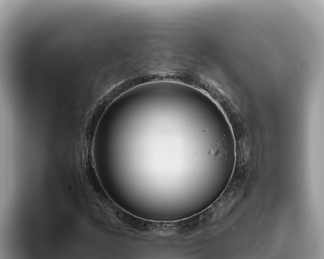 X0000095901158200801181240