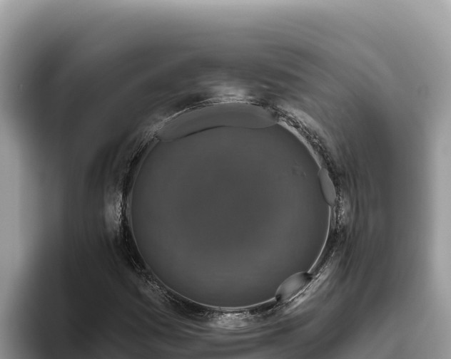 X0000095901161200801181240