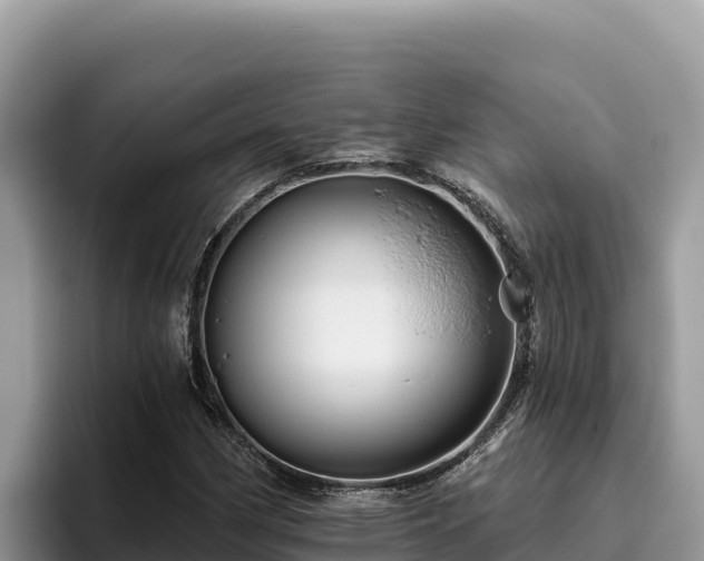 X0000095901162200801181240