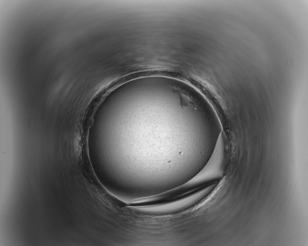 X0000095901163200801181240