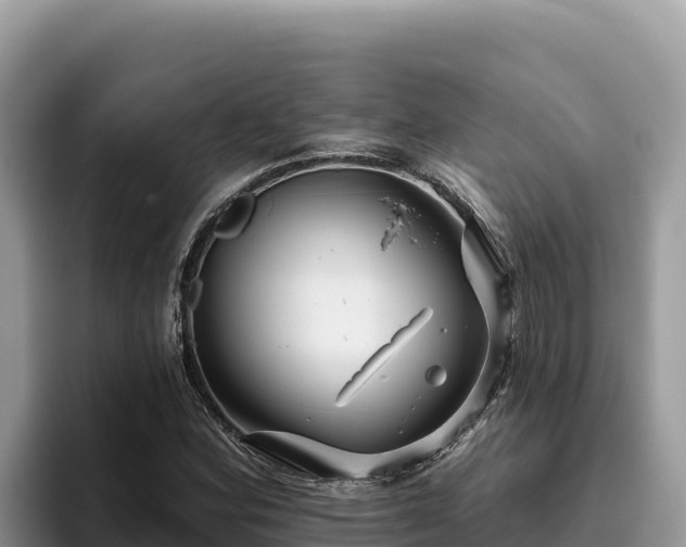 X0000095901164200801181240