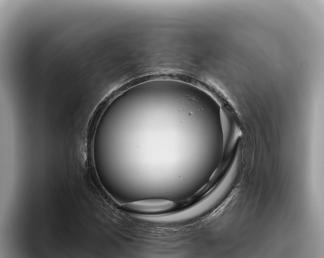 X0000095901165200801181240