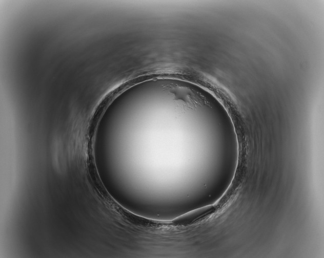 X0000095901166200801181240