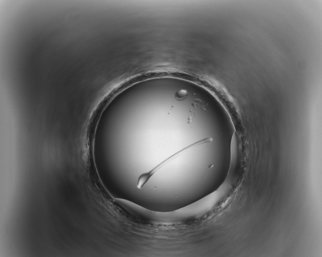 X0000095901167200801181240