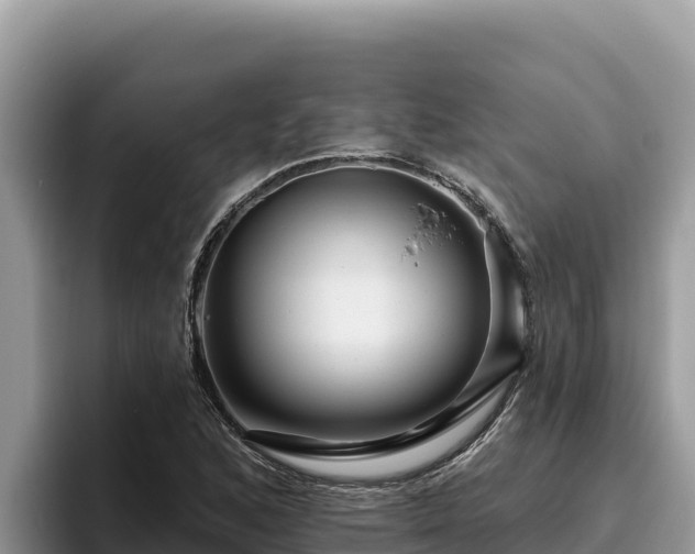 X0000095901168200801181240