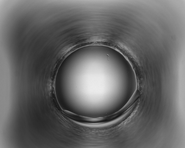 X0000095901169200801181240