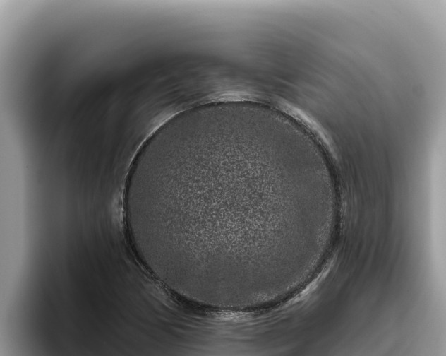 X0000095901170200801181240