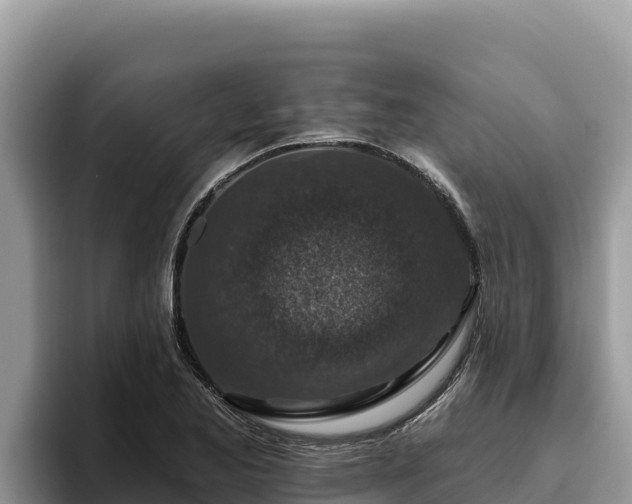 X0000095901173200801181240