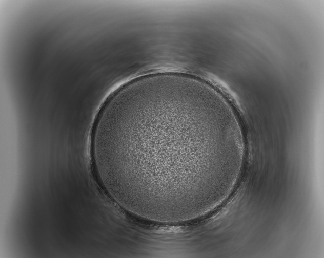 X0000095901174200801181240