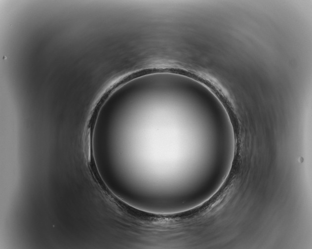 X0000095901175200801181240