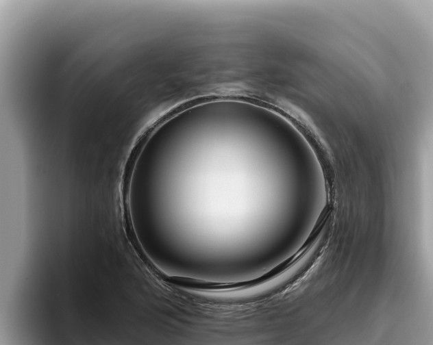 X0000095901176200801181240