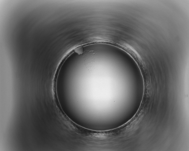 X0000095901182200801181240