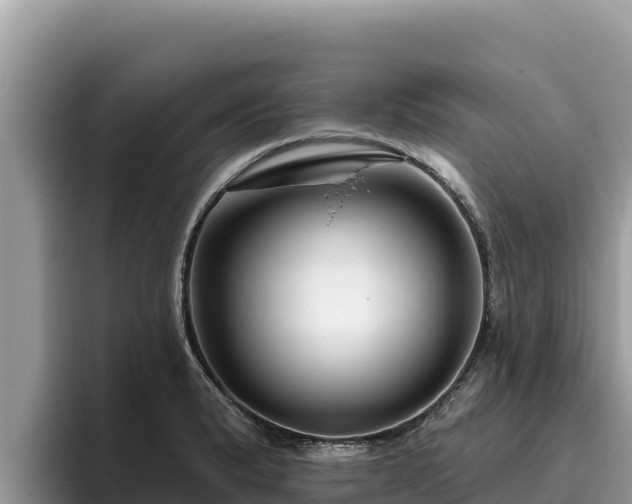 X0000095901183200801181240