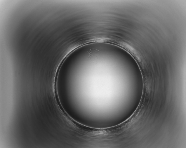 X0000095901186200801181240