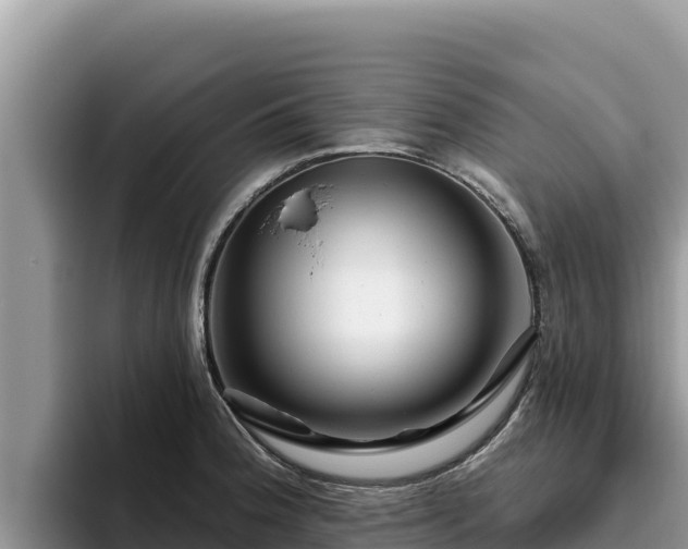 X0000095901188200801181240