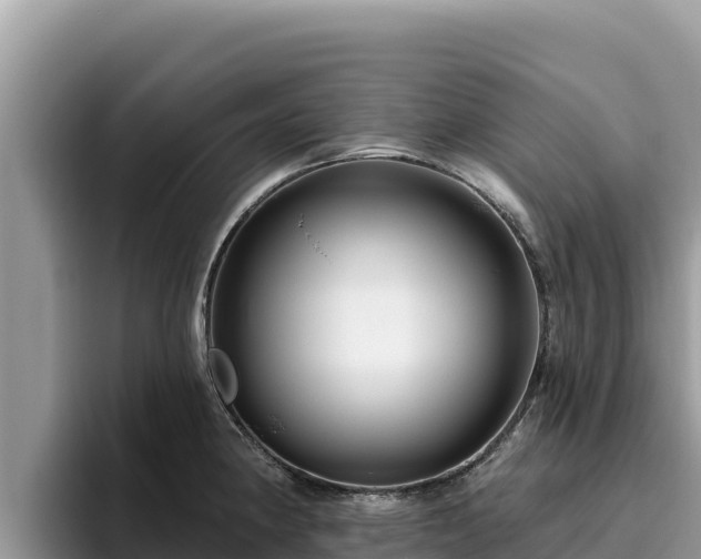 X0000095901190200801181239