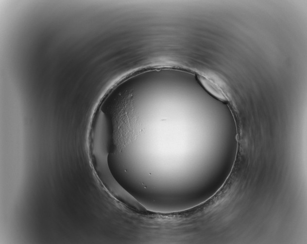 X0000095901191200801181239