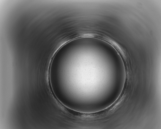 X0000095901194200801181239