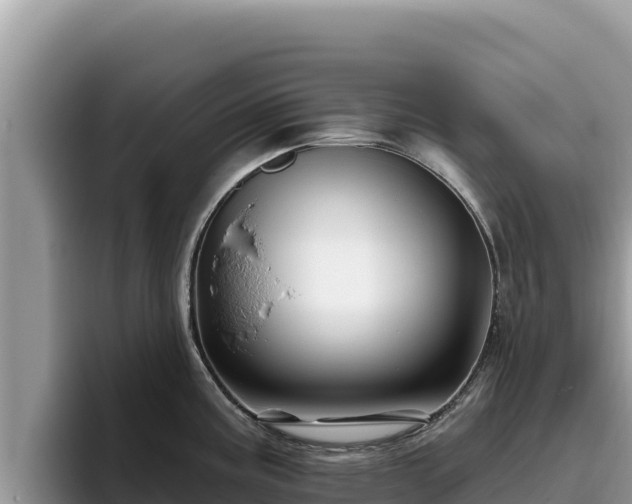 X0000095901195200801181239